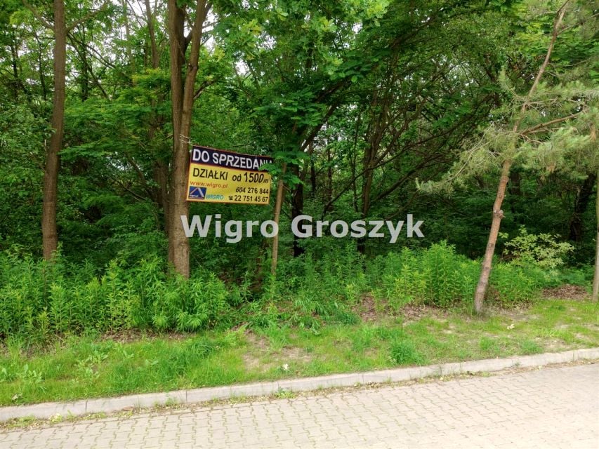 Zdjęcie 2