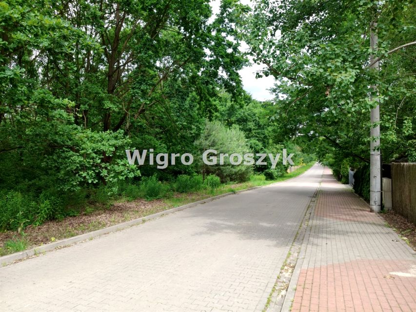 Zdjęcie 3
