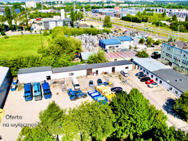 Lokal Lublin