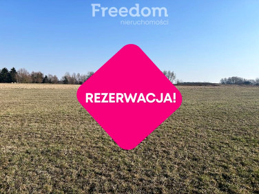 Działka Krzywe