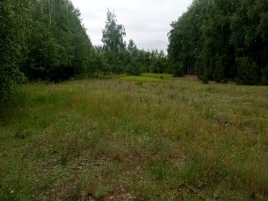 Działka rolna Karolew
