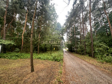 Działka budowlana Sękocin-Las sprzedam