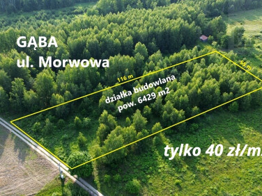 Działka Gąba