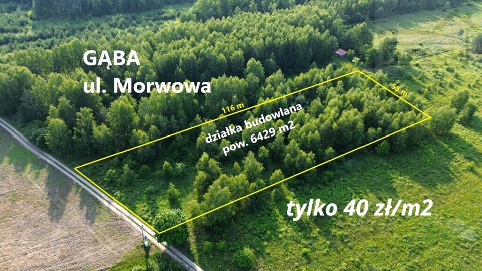 Działka Gąba