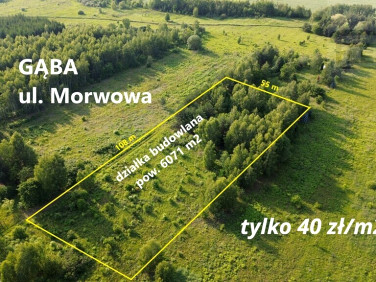 Działka Gąba