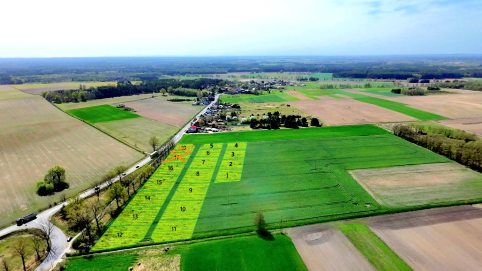 Działka budowlana Kolsko sprzedam