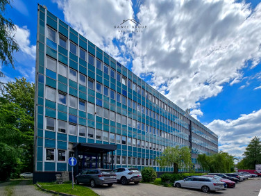 Lokal Dąbrowa Górnicza