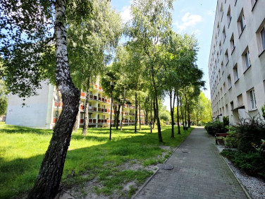 Mieszkanie Rybnik