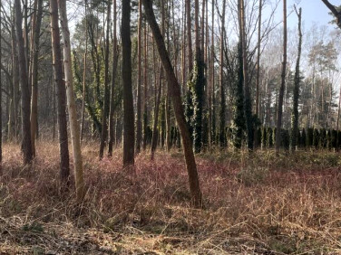 Działka budowlana Konstancin-Jeziorna