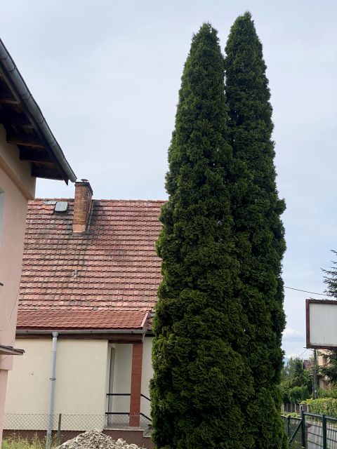 Mieszkanie Jelenia Góra sprzedaż