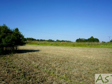 Działka Bolechowice