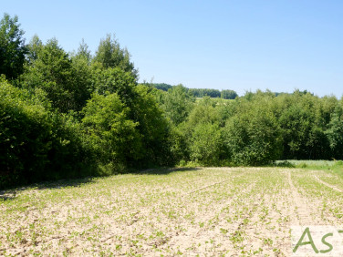 Działka Czułów