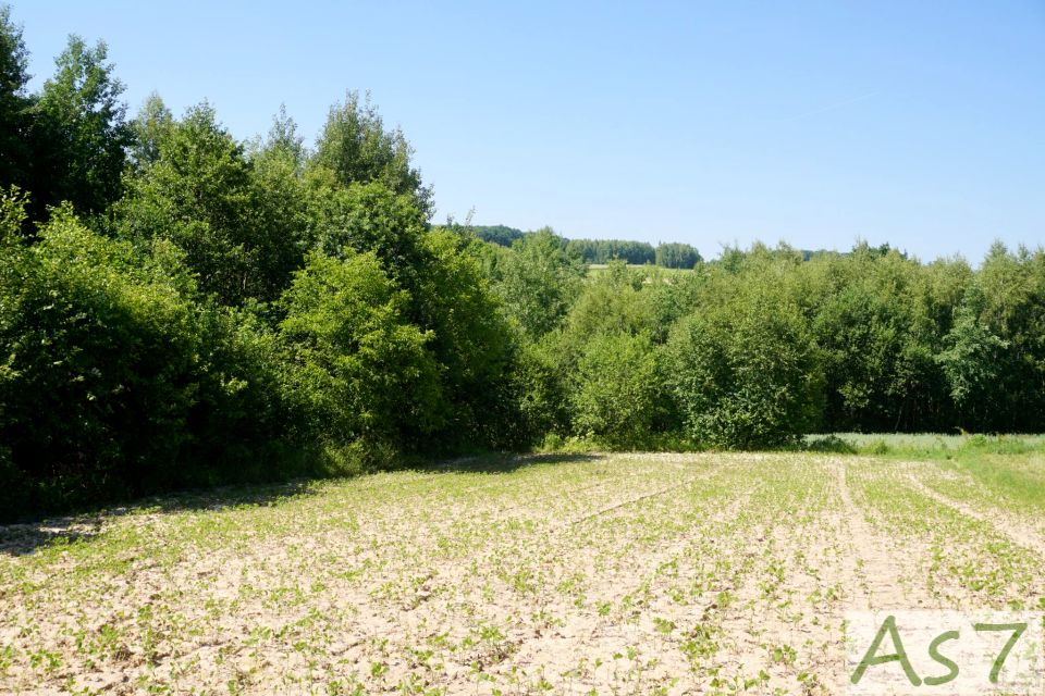 Działka Czułów