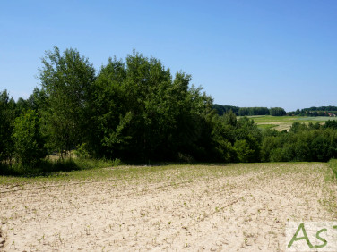 Działka rolna Czułów