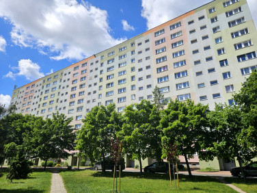 Mieszkanie Poznań
