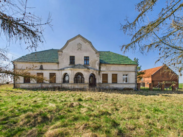 Działka siedliskowa Prabuty