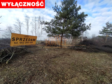 Działka Kazuń Polski
