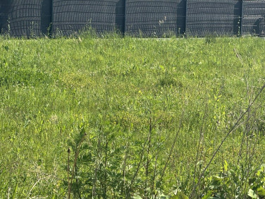 Działka inna sprzedam