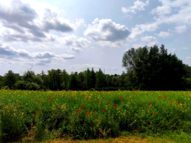 Działka budowlana Jastków