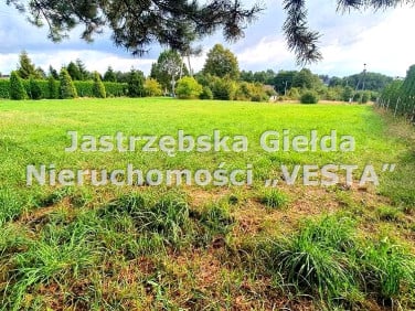 Działka budowlana Turza Śląska