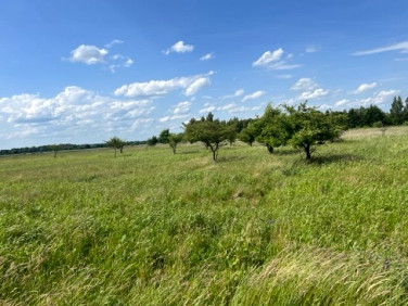Działka Wrocław