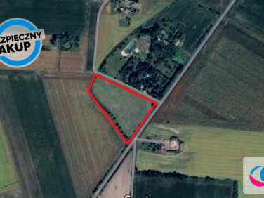 Działka siedliskowa Wola Miedniewska sprzedam