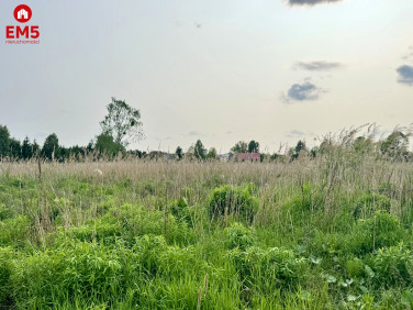 Działka Nowodworce