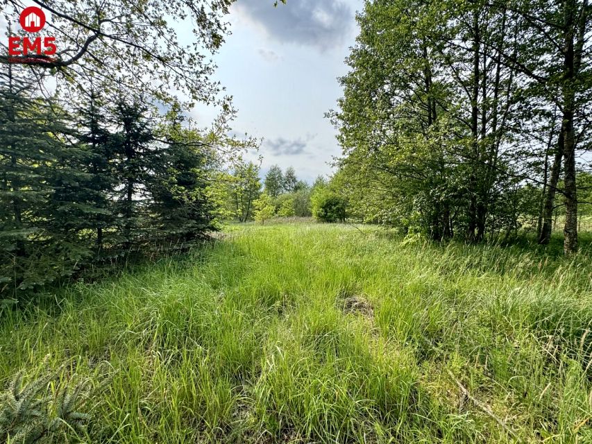 Działka Kosmaty Borek