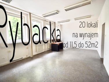Lokal Opole