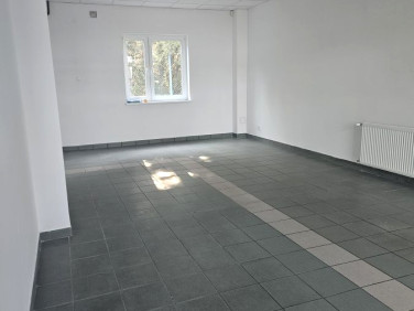 Lokal Zielona Góra