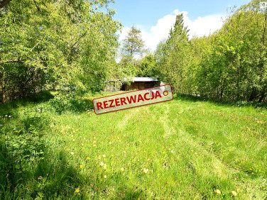 Działka Strzelce