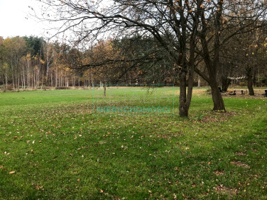 Działka siedliskowa Władysławów