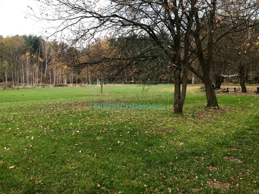 Działka siedliskowa Władysławów