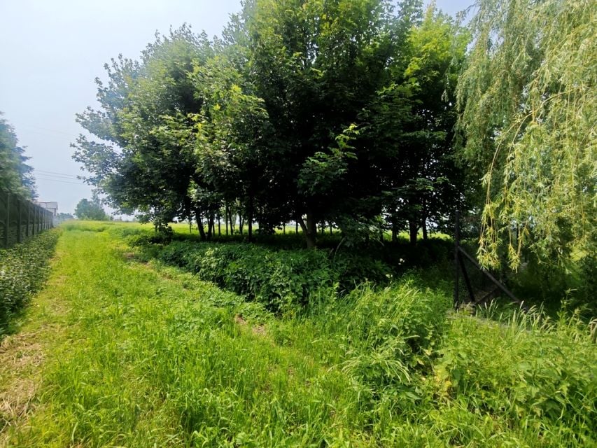 Zdjęcie 3