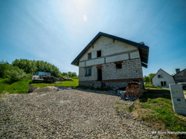 Dom Królik Polski