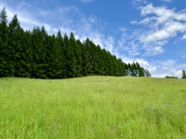 Działka budowlana Krzeszowice