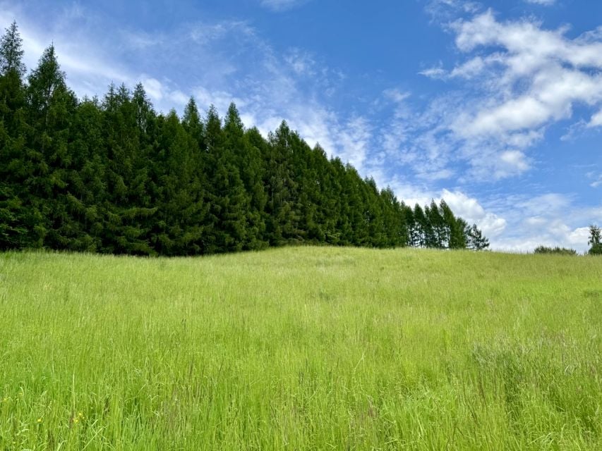 Działka budowlana Krzeszowice