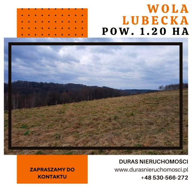 Działka budowlano-rolna Wola Lubecka