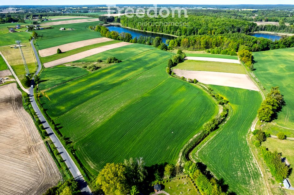 Działka siedliskowa Ząbrowo