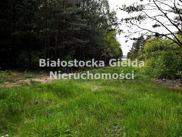 Pusta działka Tanica Górna