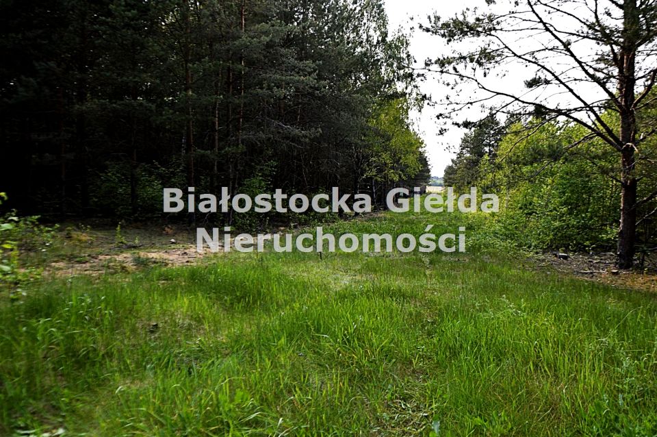 Pusta działka Tanica Górna
