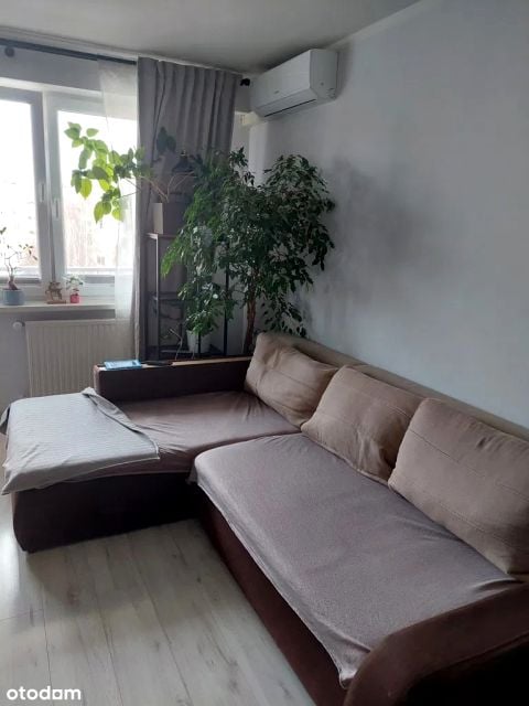Mieszkanie Gorzów Wielkopolski