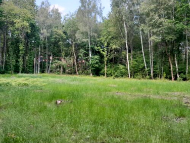 Działka budowlana Owczarnia