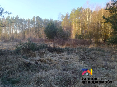 Działka budowlana Radomia