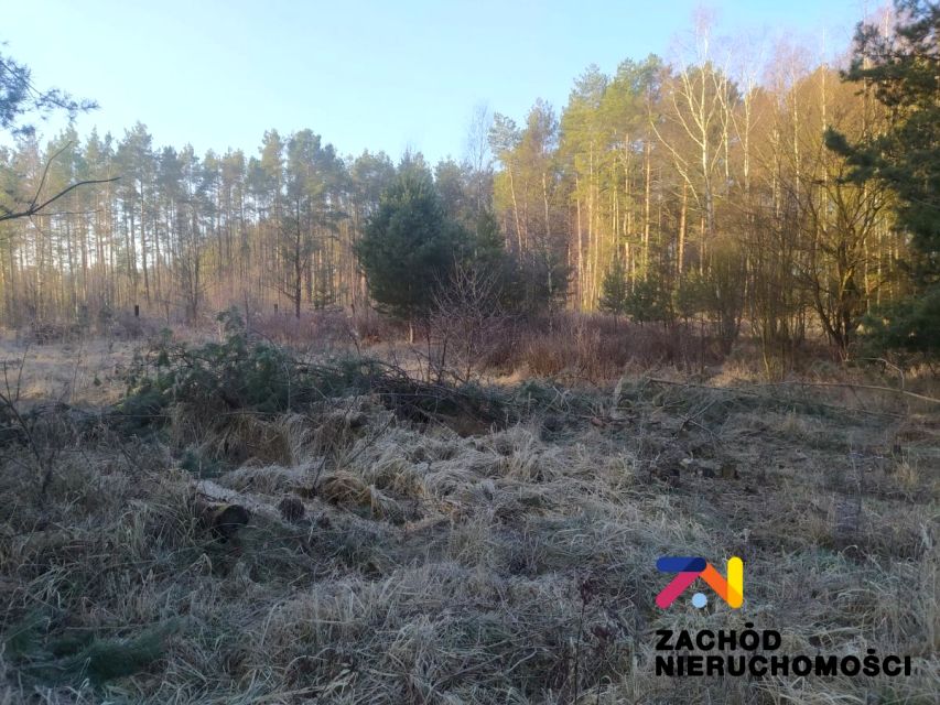Działka budowlana Radomia