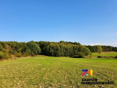 Działka budowlana Drągowina