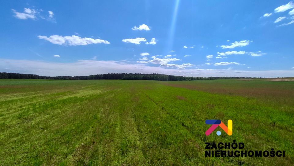 Działka rolna Zabór
