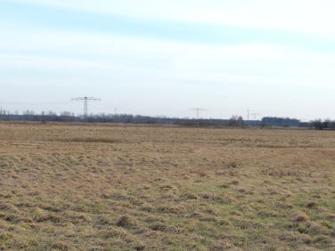 Działka rolna Lubsko