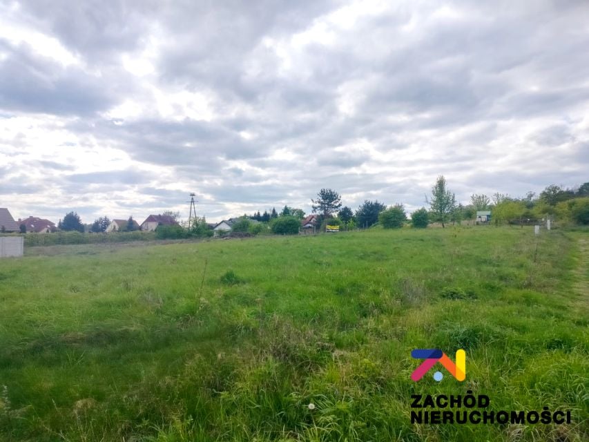 Zdjęcie 2
