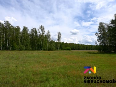 Działka budowlana Świdnica
